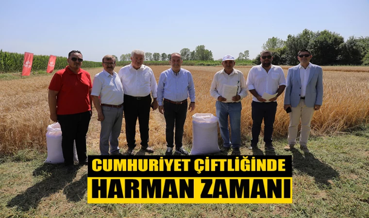 CUMHURİYET ÇİFTLİĞİNDE HARMAN ZAMANI