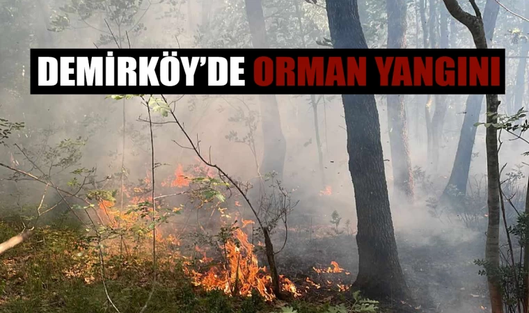 Demirköy'de Orman Yangını