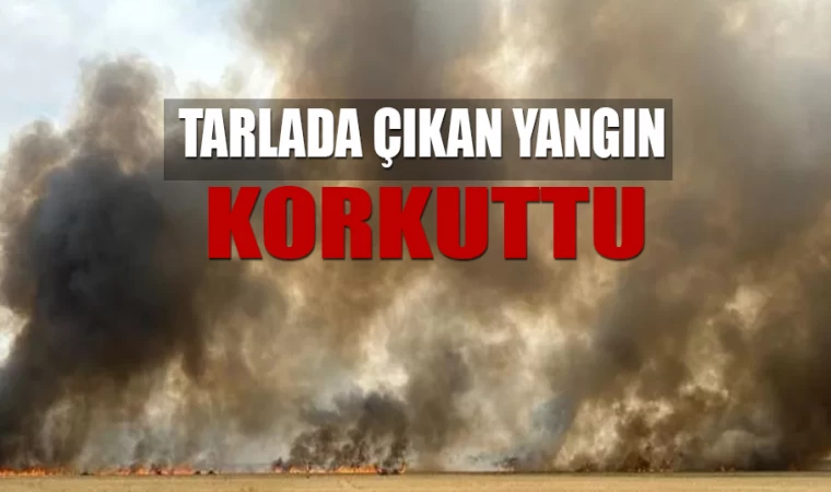 Tarlada Çıkan Yangın Korkuttu