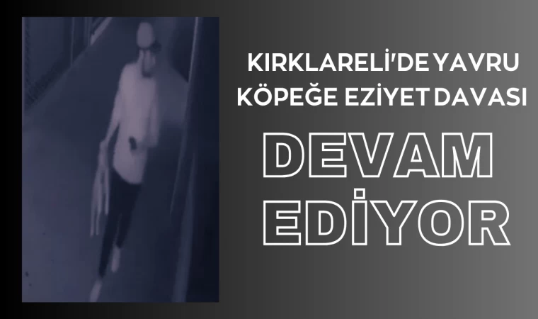 "Kırklareli'de Yavru Köpeğe Eziyet Davası Devam Ediyor"