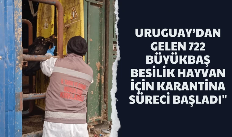 URUGUAY’dan Gelen 722 Büyükbaş Besilik Hayvan İçin Karantina Süreci Başladı"