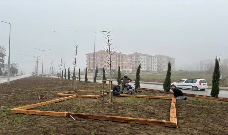 İnönü Caddesi ve Kofçaz Yolu'nda Yeni Peyzaj