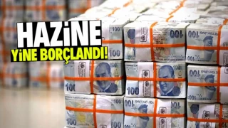 Hazine 19 milyar lira borçlandı