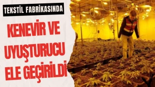 Tekstil Fabrikasında Kenevir ve Uyuşturucu Ele Geçirildi