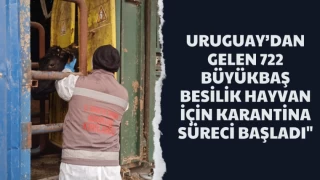 URUGUAY’dan Gelen 722 Büyükbaş Besilik Hayvan İçin Karantina Süreci Başladı"