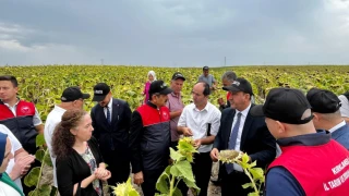 Vali Birol Ekici Tarla Günleri Etkinliğine Katıldı.